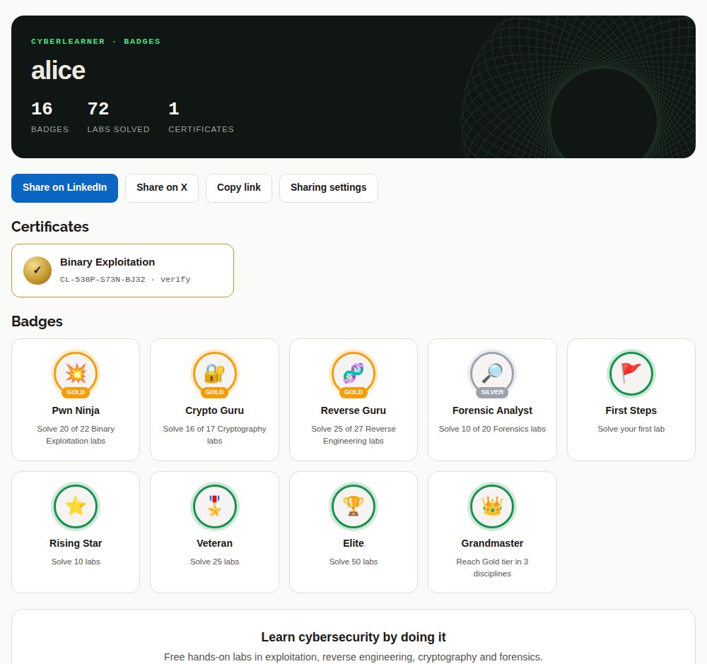 A public CyberLearner badges page showing gold, silver and milestone badges